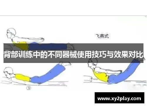 背部训练中的不同器械使用技巧与效果对比